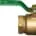 Bronze Ball Valves