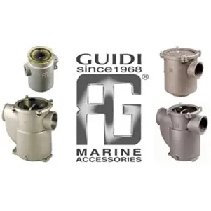 Raw Sea water Strainers